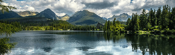 1623311500_27_img.png
